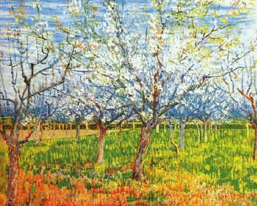 Vincent Van Gogh Orchard in Blossom France oil painting art